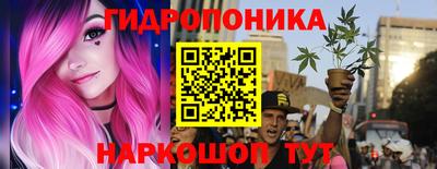 ALPHA PVP Кингисепп