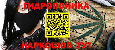 ALPHA PVP Кингисепп