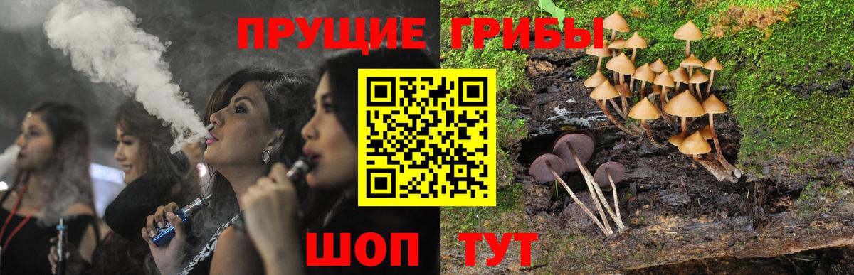 Галлюциногенные грибы GOLDEN TEACHER  Вход с VPN  Гусиноозёрск 