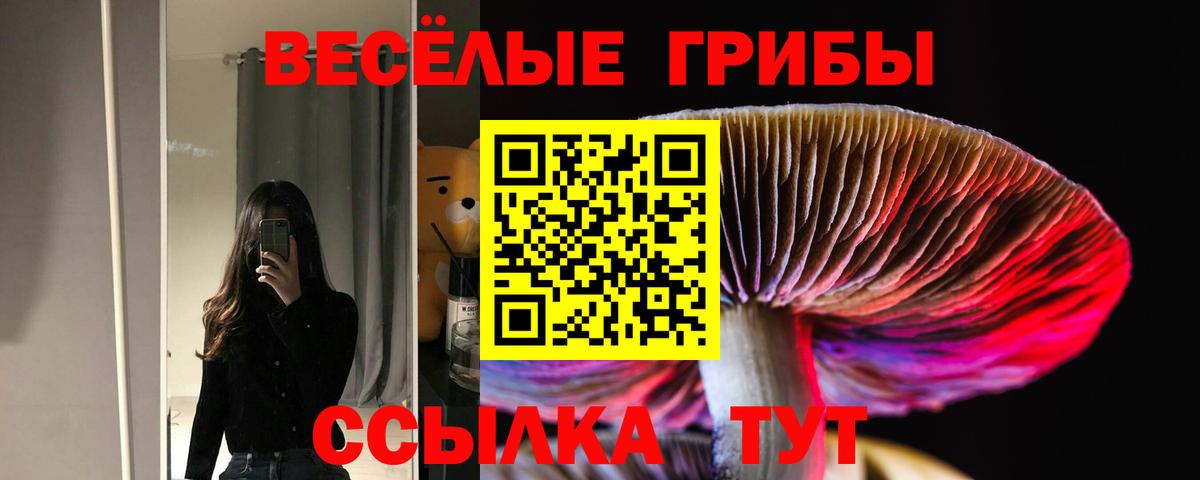 Галлюциногенные грибы прущие грибы Гусиноозёрск